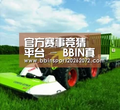 关于BBIN下载