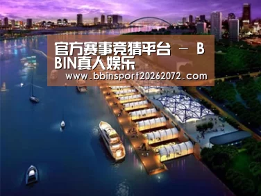 案例展示八