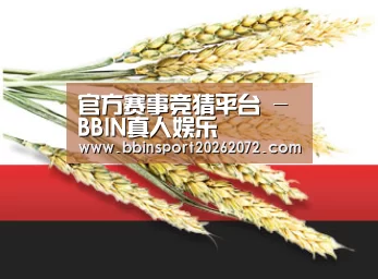 官方赛事竞猜平台 - BBIN真人娱乐