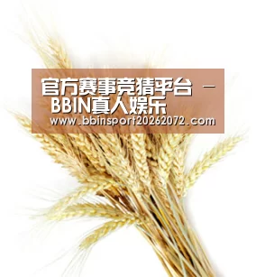官方赛事竞猜平台 - BBIN真人娱乐