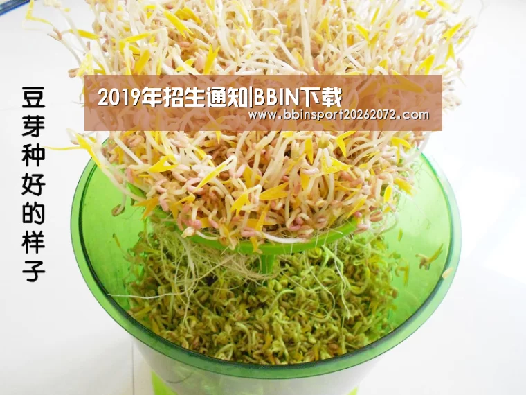 2019年招生通知|BBIN下载(图1) BBIN下载