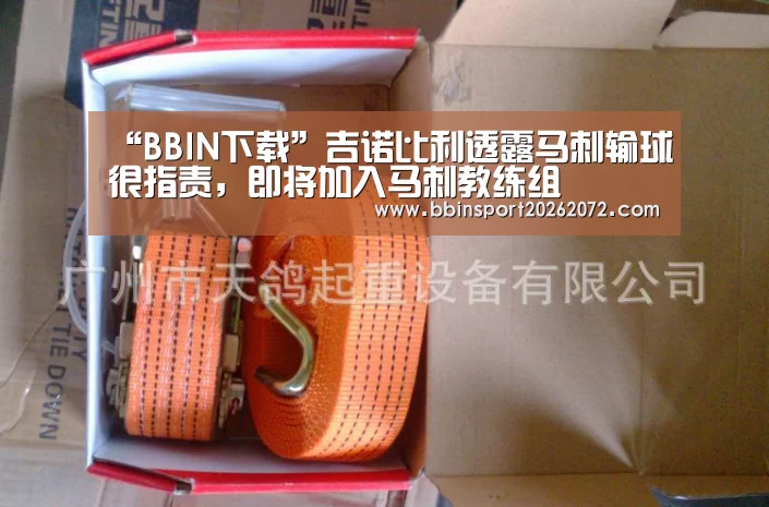 “BBIN下载”吉诺比利透露马刺输球很指责,即将加入马刺教练组(图1) BBIN国际厅