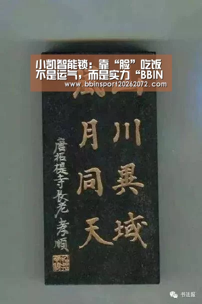 小凯智能锁:靠“脸”吃饭不是运气,而是实力“BBIN官网”(图4) BBIN下载